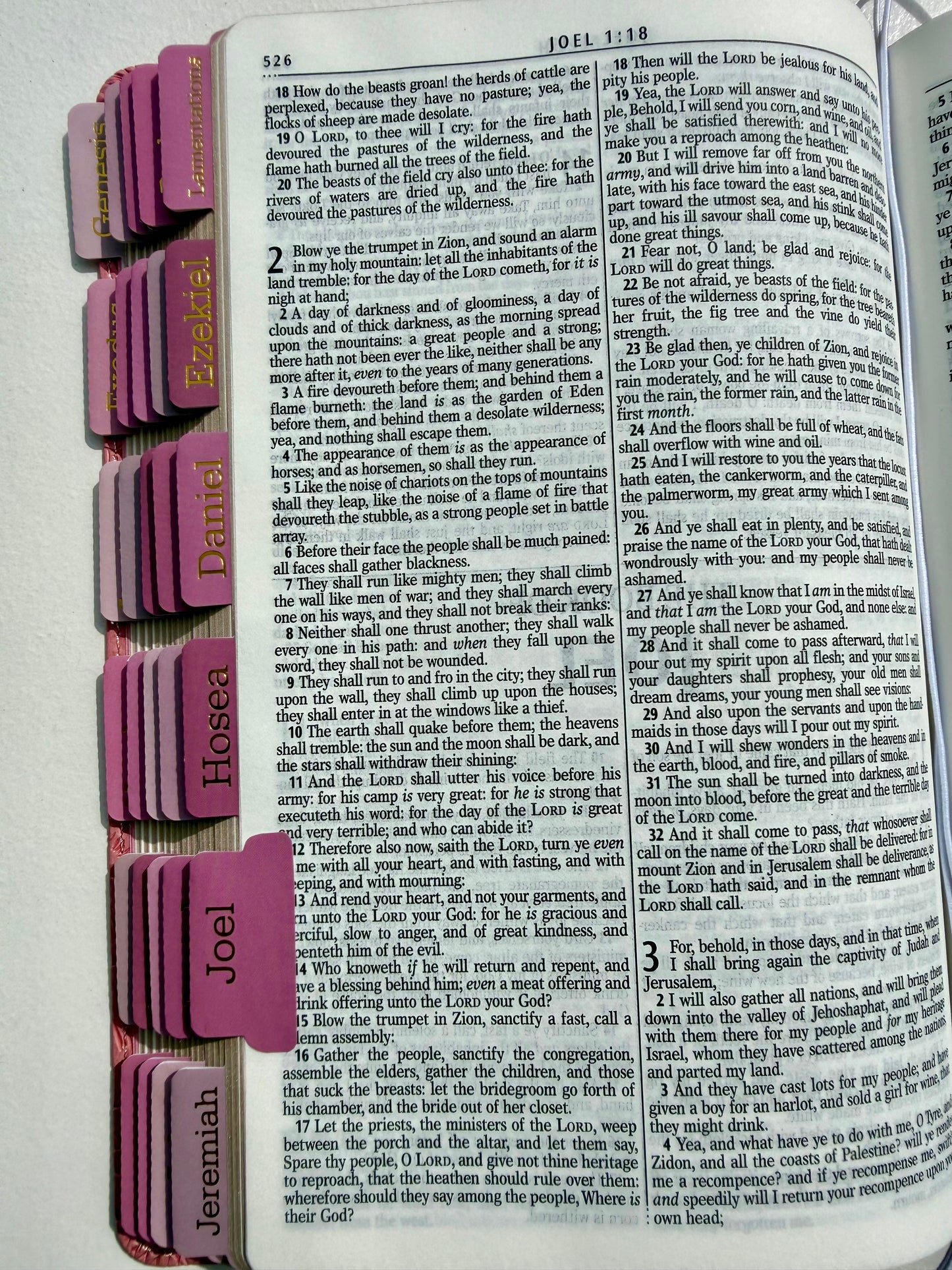 Pink KJV Tabbed Bible Bundle with Faith Journal & Tassel Bookmark