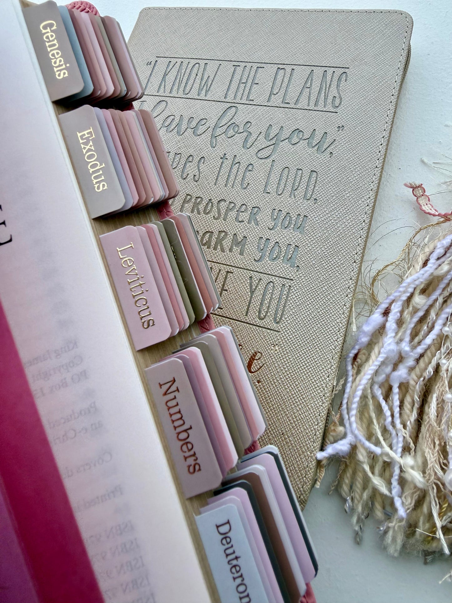 Pink KJV Tabbed Bible Study Bundle, Faith Journal, Tassel Keychain (Keepsake Box)